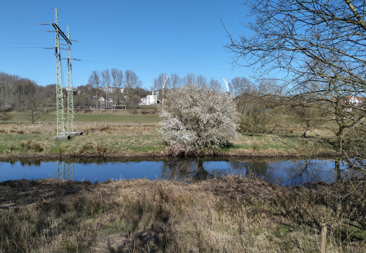 Kolding Ådal Forår
